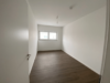 Erstbezug! Neubau 4-Zimmer Penthousewohnung in Biebesheim - Zimmer 1.png